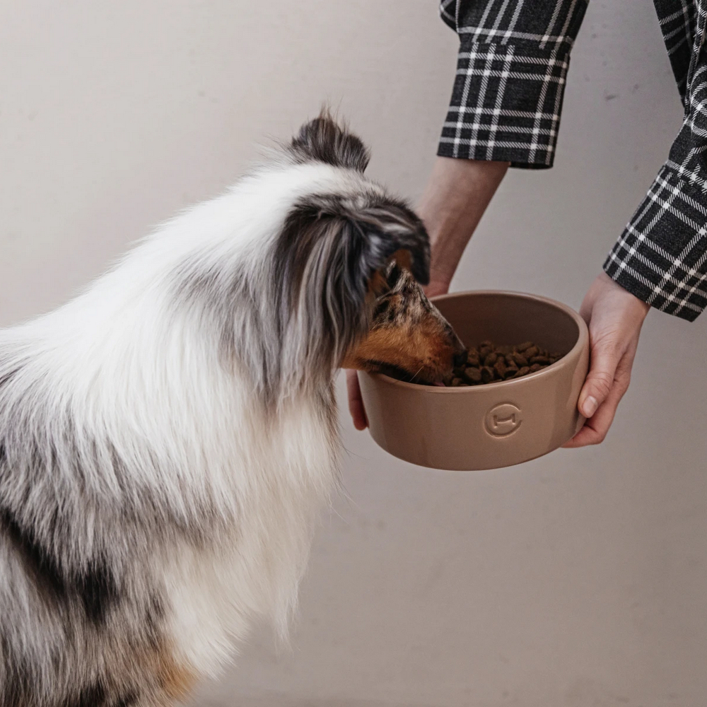 Harley & Cho Ceramic Bowl Cacao миска керамічна для собак і котів, бежевий - 850 мл