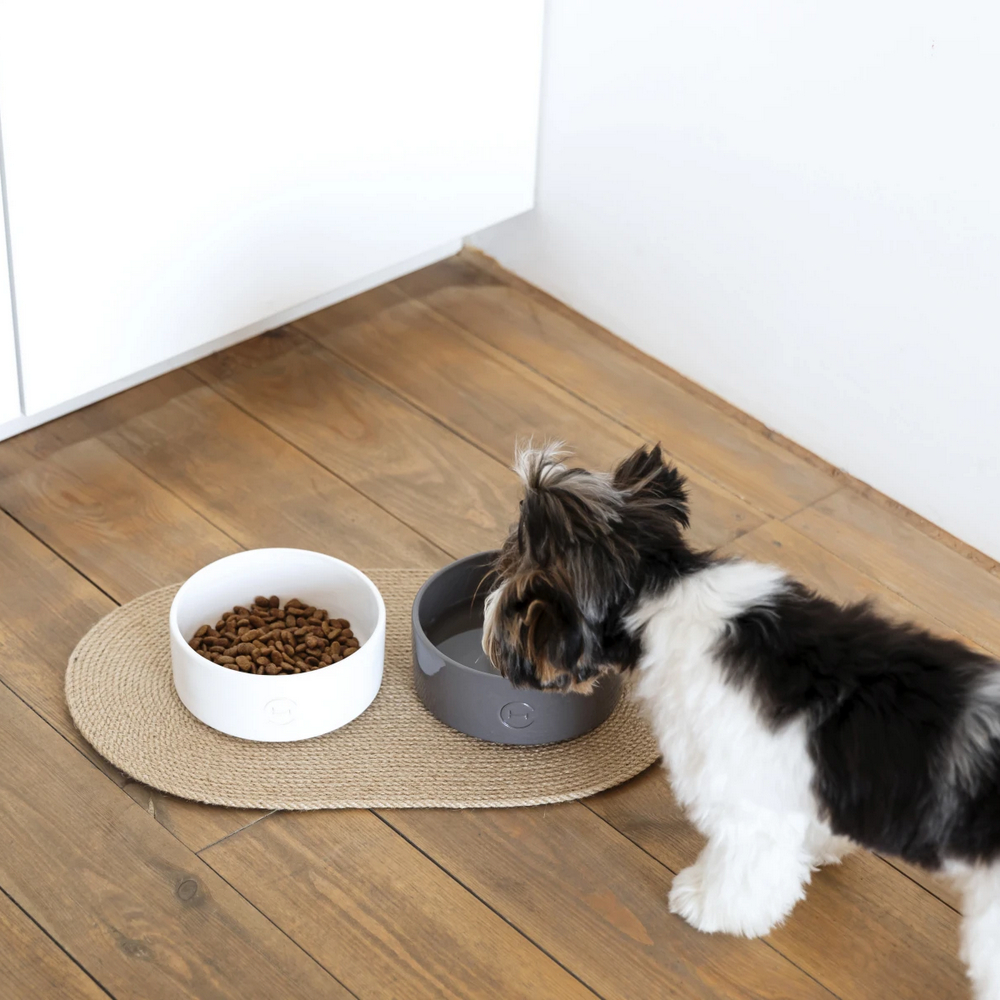 Harley & Cho Ceramic Bowl White миска керамічна для собак і котів, білий - 450 мл