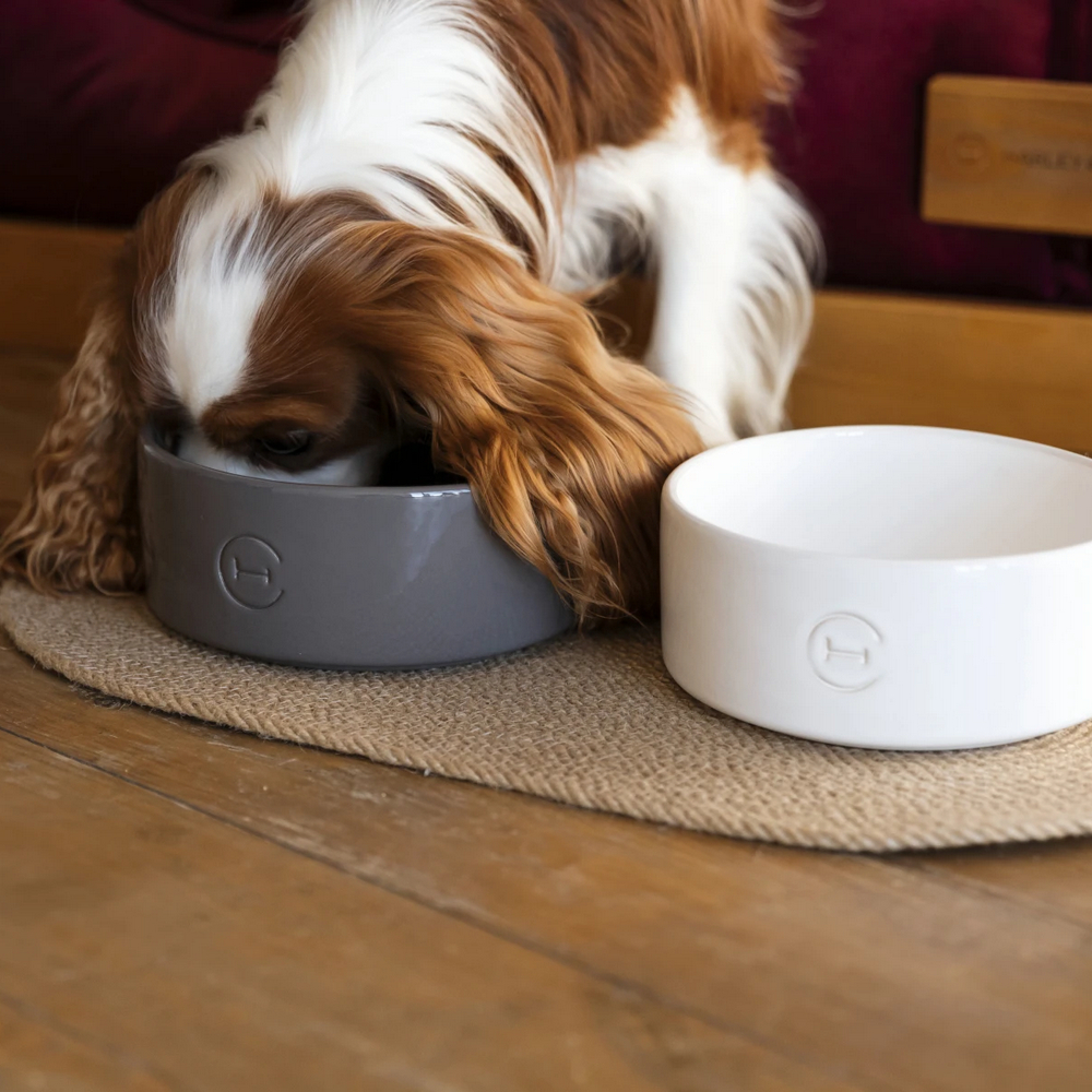 Harley & Cho Ceramic Bowl White миска керамічна для собак і котів, білий - 450 мл