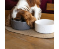 Harley & Cho Ceramic Bowl White миска керамічна для собак і котів, білий - 450 мл