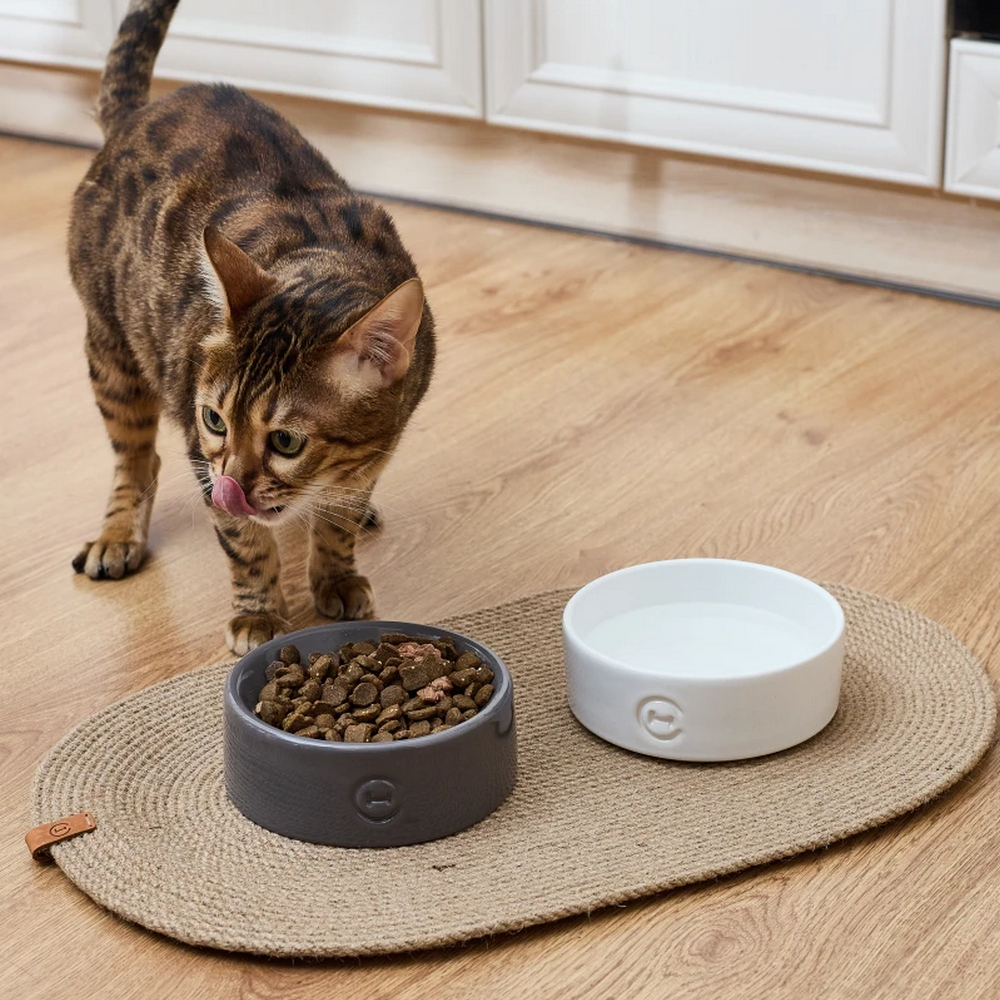 Harley & Cho Ceramic Bowl White миска керамічна для собак і котів, білий - 450 мл