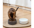 Harley & Cho Ceramic Bowl White миска керамічна для собак і котів, білий - 450 мл