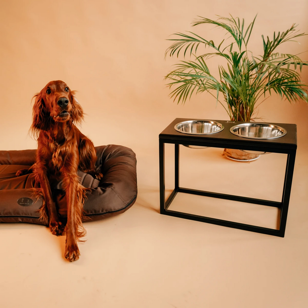 Harley & Cho Dinner Brown wood & Black миски на підставці для собак, чорний - 1,8 л