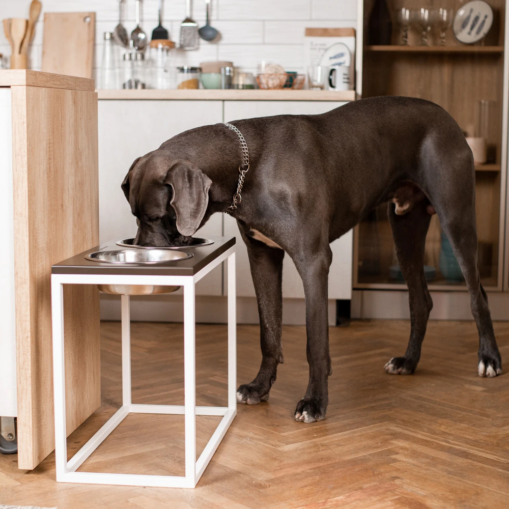 Harley & Cho Dinner Brown wood & White миски на підставці для собак, білий - 1,8 л