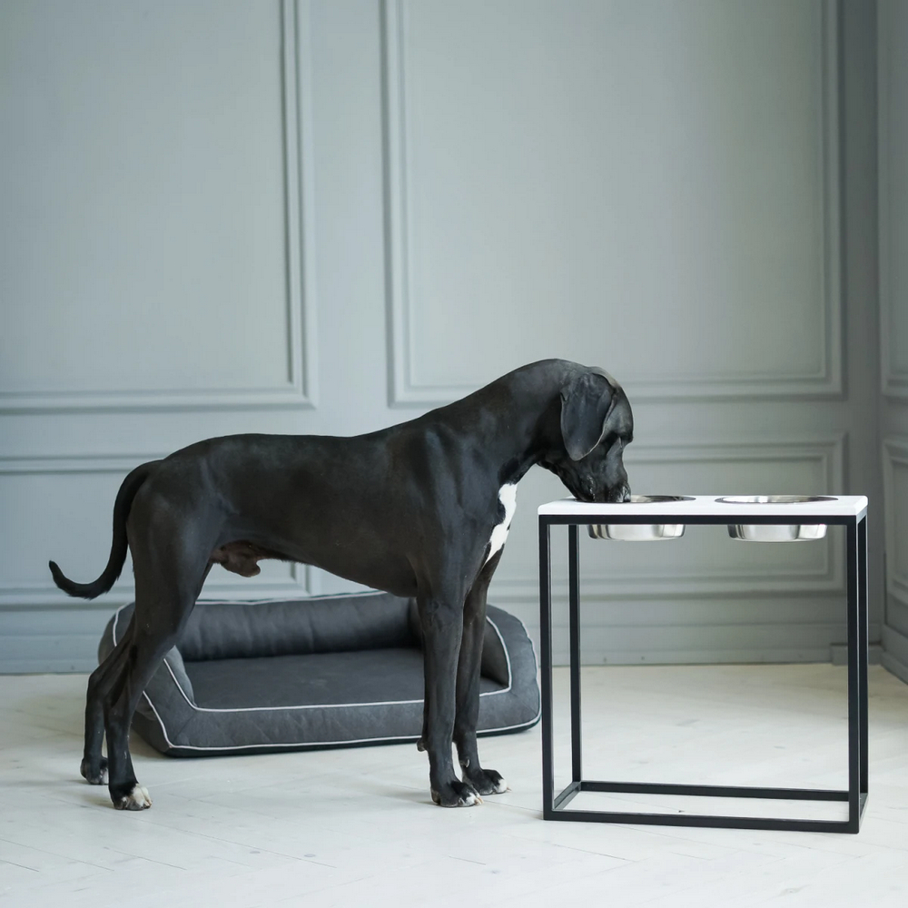 Harley & Cho Dinner White wood & Black миски на підставці для собак, чорний -  2,6 л