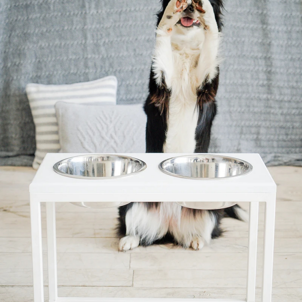 Harley & Cho Dinner White wood & White миски на підставці для собак, білий - 1,8 л