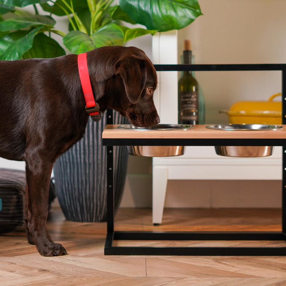 Harley & Cho Lift Natural Wood & Black миски на підставці з регульованою висотою, чорний - 1,8 л