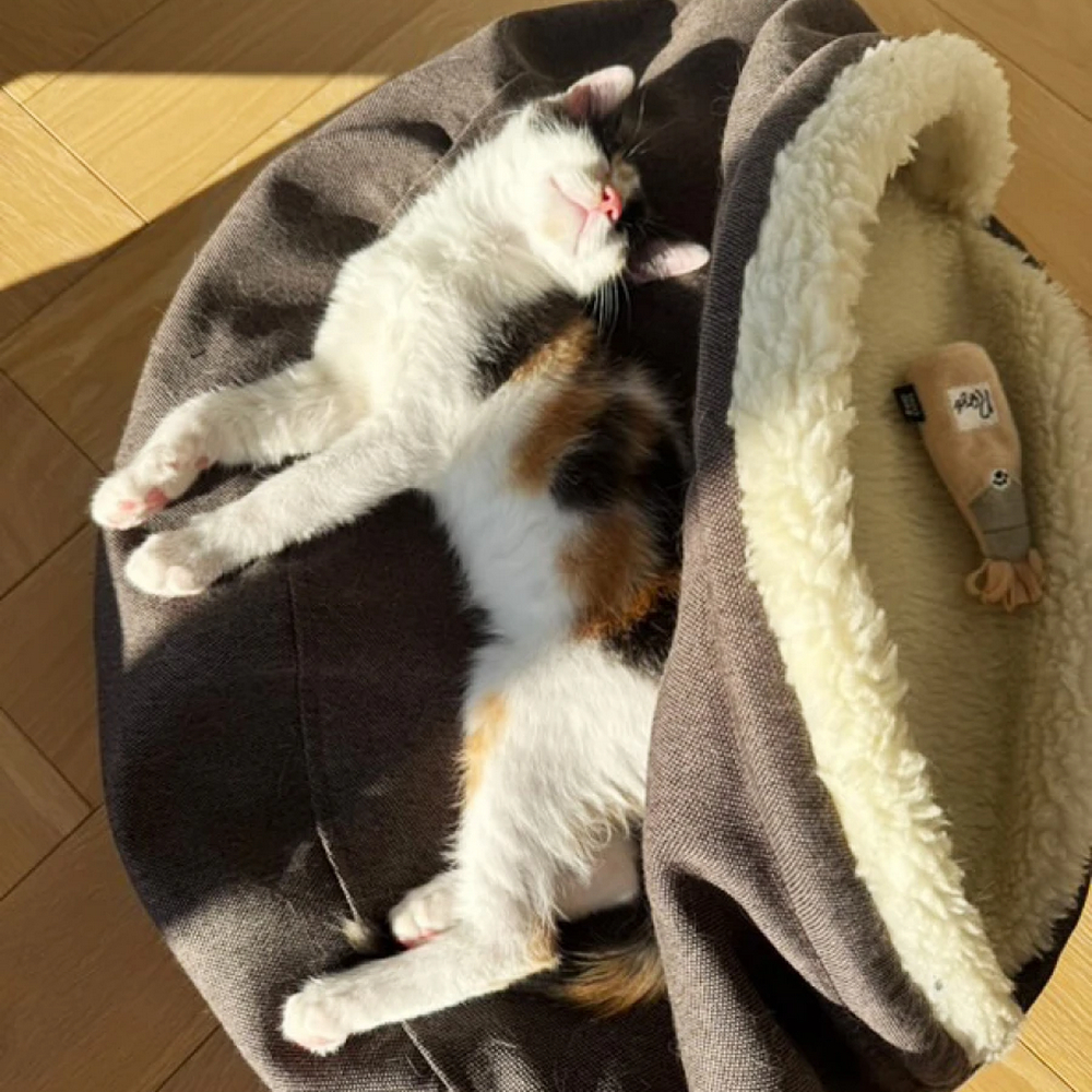 Harley & Cho Cover Brown лежак для котів і собак з теплим капюшоном, коричневий - S