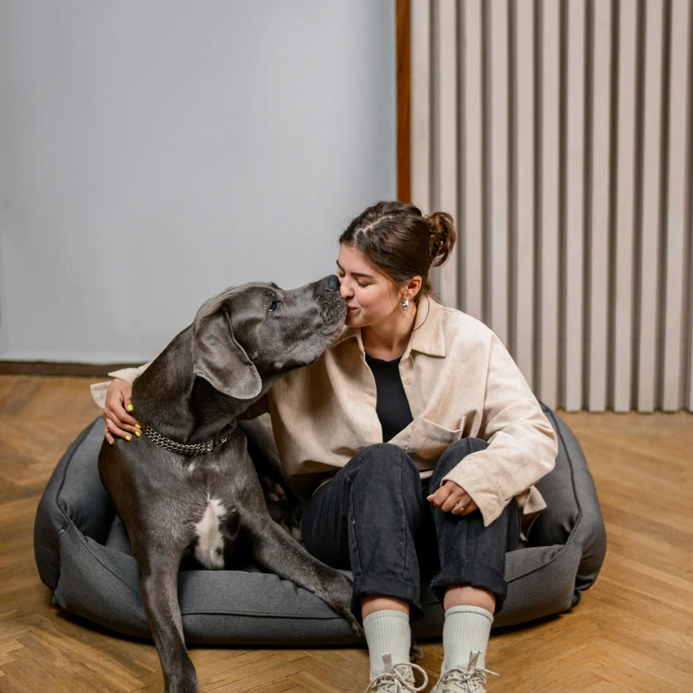 Harley & Cho Sofa Gray лежак з підсиленою поверхнею для собак, сірий - L