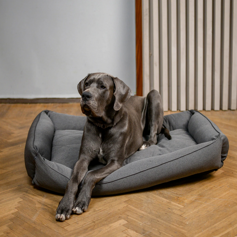 Harley & Cho Sofa Gray лежак з підсиленою поверхнею для собак, сірий - XL