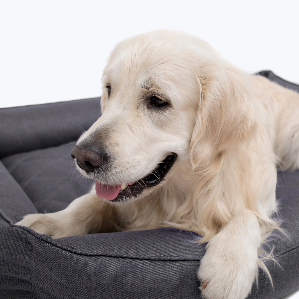 Harley & Cho Sofa Gray лежак з підсиленою поверхнею для собак, сірий - XL