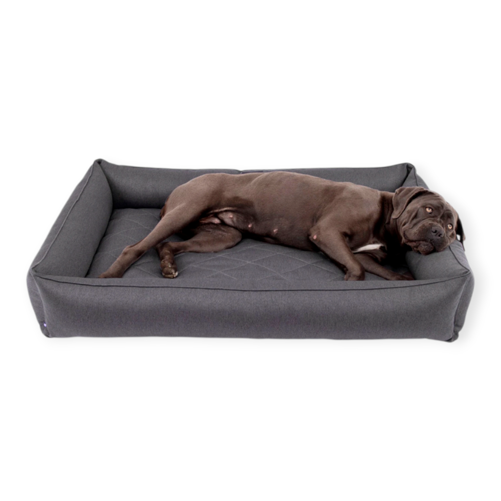 Harley & Cho Sofa Gray лежак з підсиленою поверхнею для собак, сірий - XL