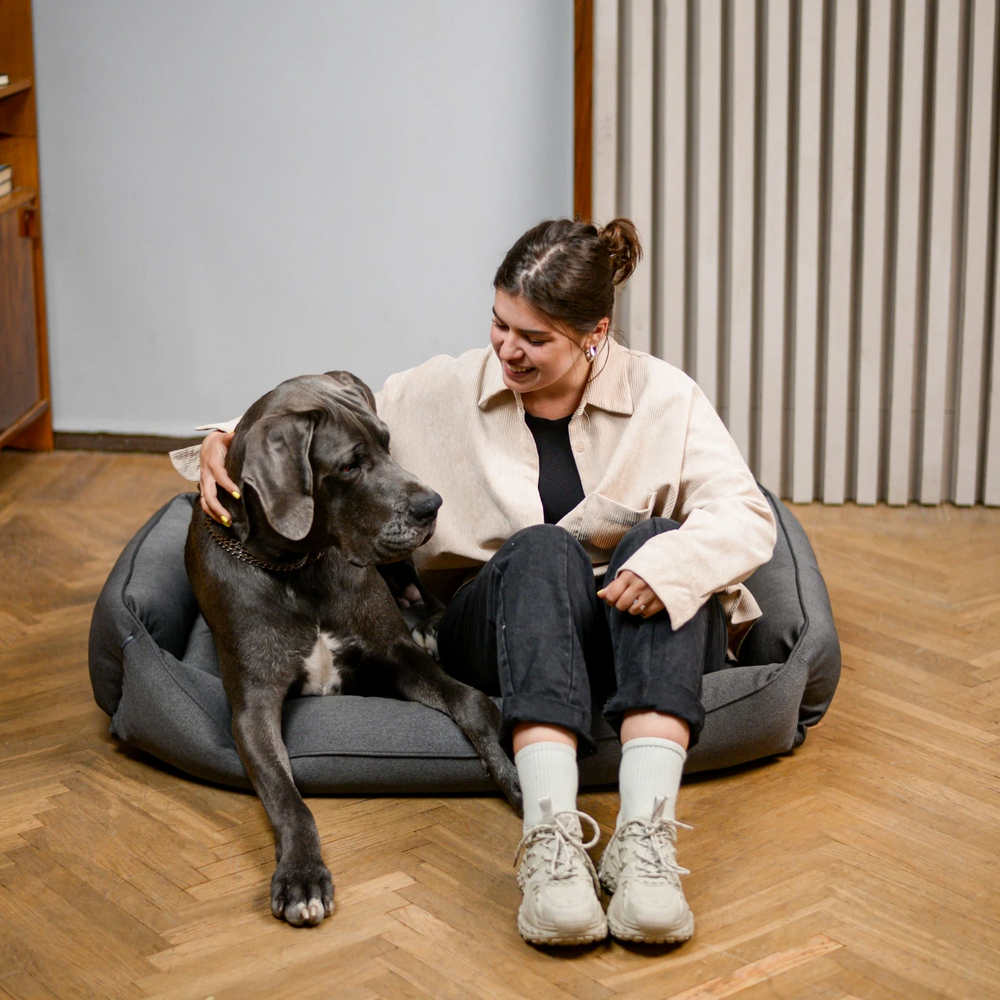 Harley & Cho Sofa Gray лежак з підсиленою поверхнею для собак, сірий - XL