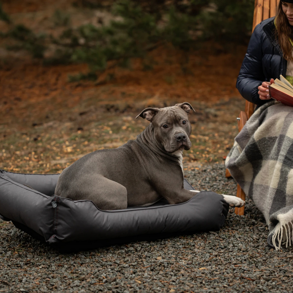 Harley & Cho Dreamer Waterproof Gray вологостійкий лежак для собак, сірий - XL