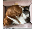 Harley & Cho Dreamer Velour Pudra велюровий лежак для собак та котів, пудровий - S