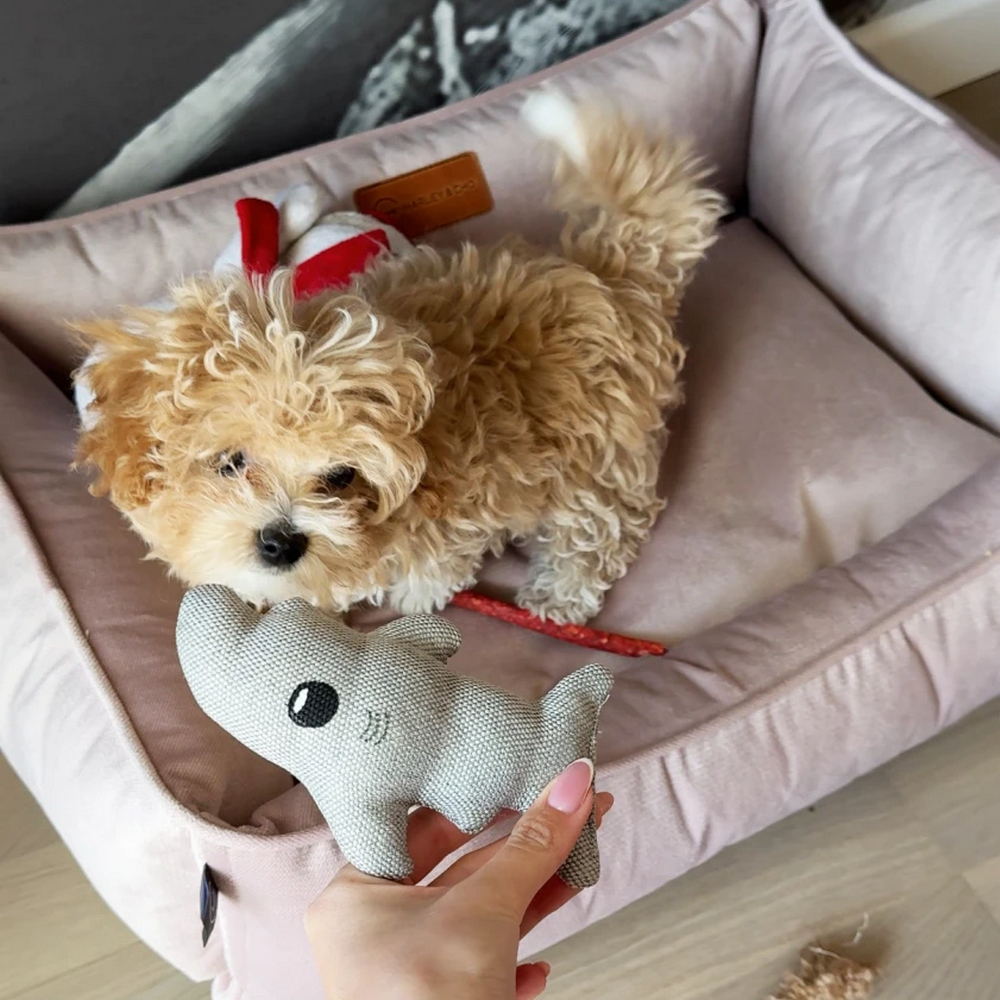 Harley & Cho Dreamer Velour Pudra велюровий лежак для собак та котів, пудровий - S