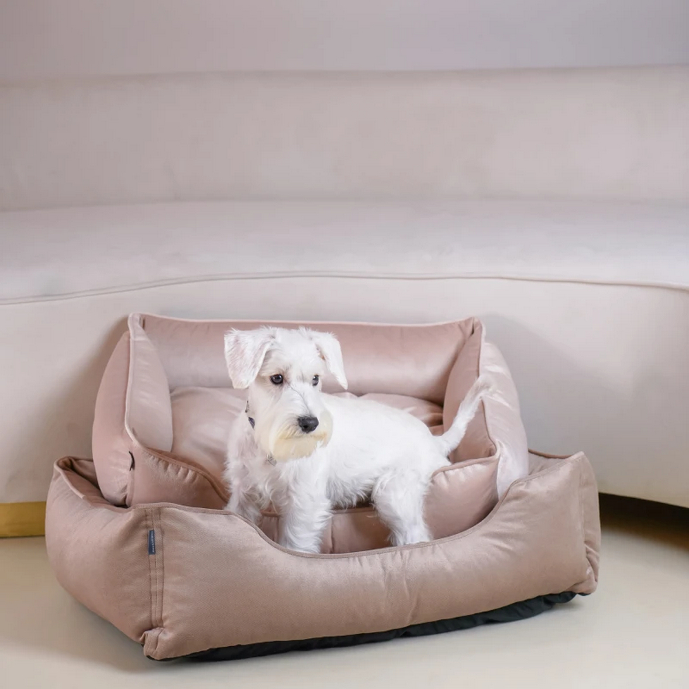 Harley & Cho Dreamer Velour Pudra велюровий лежак для собак та котів, пудровий - М