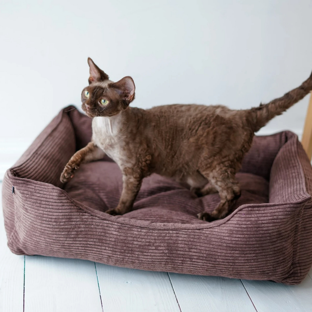 Harley & Cho Dreamer Velvet Brown вельветовий лежак для собак та котів, коричневий - S