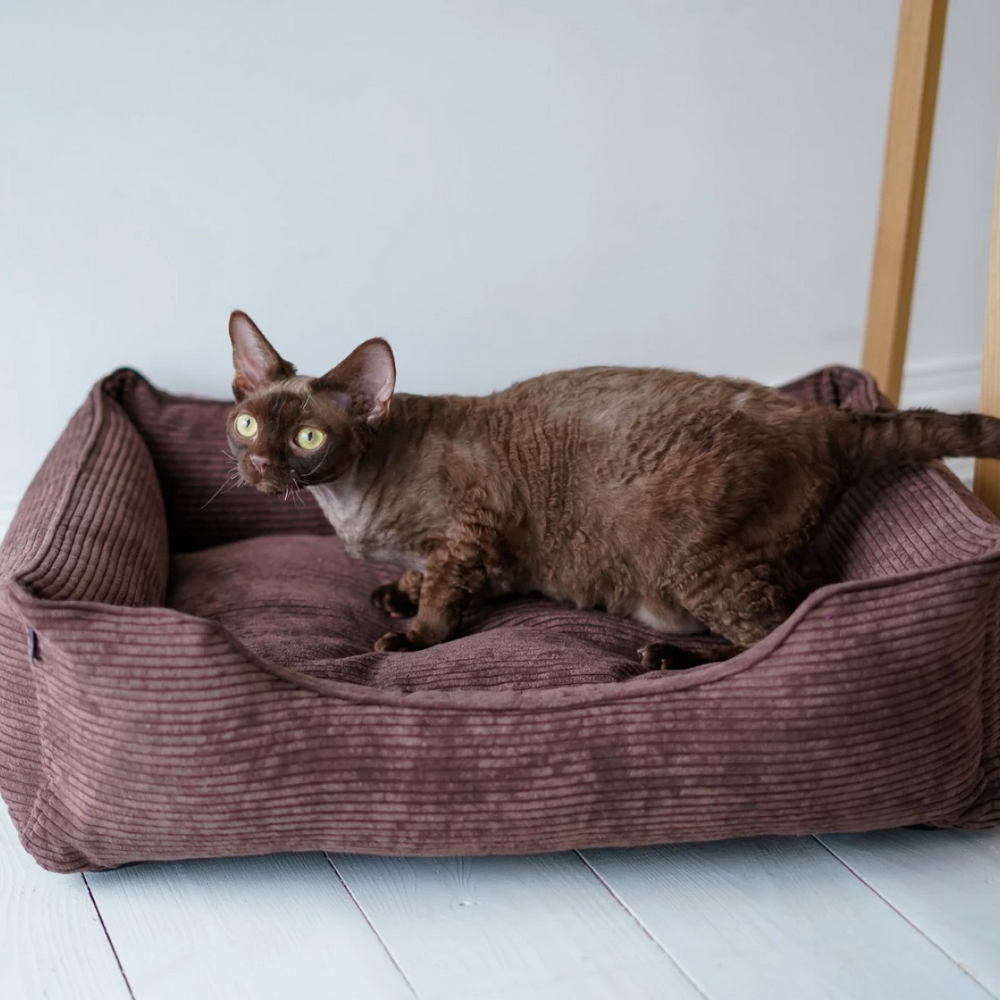 Harley & Cho Dreamer Velvet Brown вельветовий лежак для собак та котів, коричневий - S