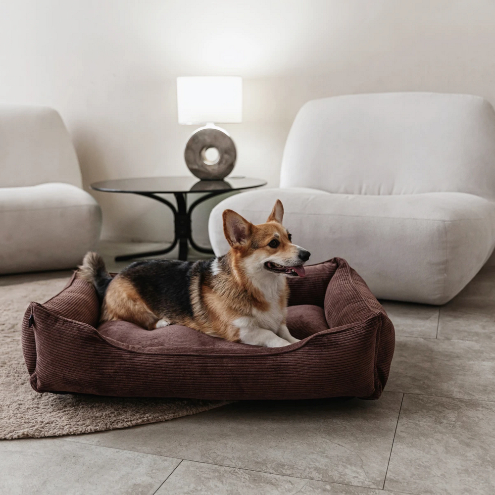 Harley & Cho Dreamer Velvet Brown вельветовий лежак для собак та котів, коричневий - S
