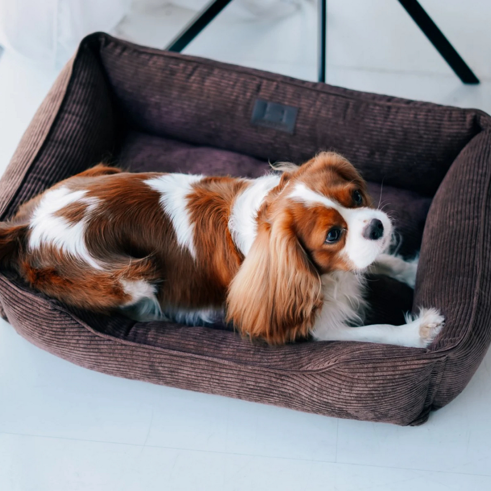 Harley & Cho Dreamer Velvet Brown вельветовий лежак для собак та котів, коричневий - S
