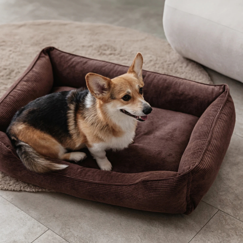 Harley & Cho Dreamer Velvet Brown вельветовий лежак для собак та котів, коричневий - М