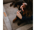 Harley & Cho Dreamer Velvet Cacao вельветовий лежак для собак та котів, бежевий - S