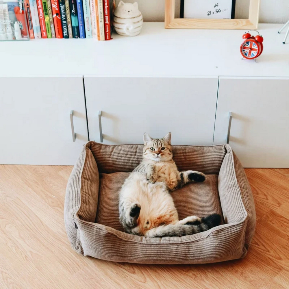 Harley & Cho Dreamer Velvet Cacao вельветовий лежак для собак та котів, бежевий - S