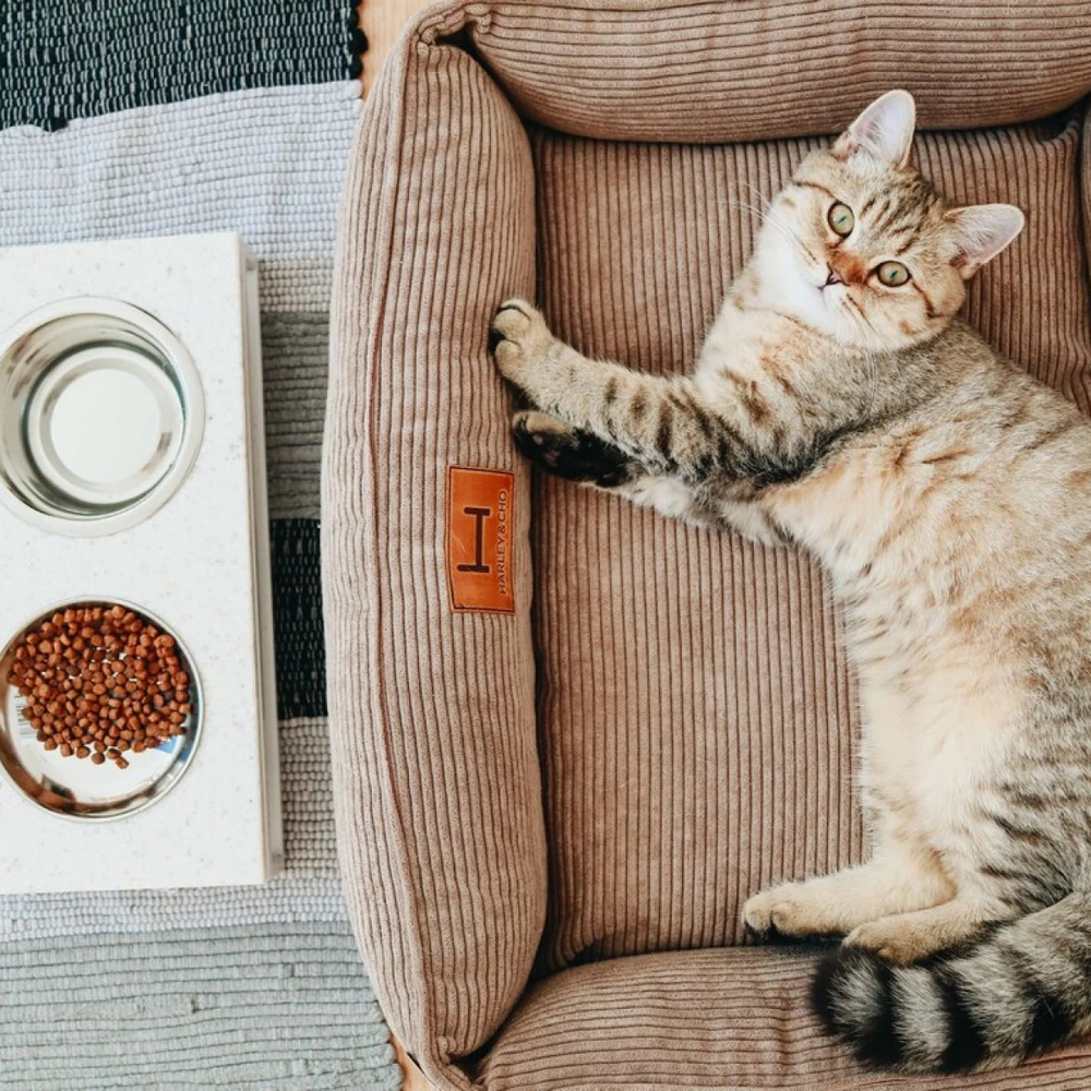 Harley & Cho Dreamer Velvet Cacao вельветовий лежак для собак та котів, бежевий - S
