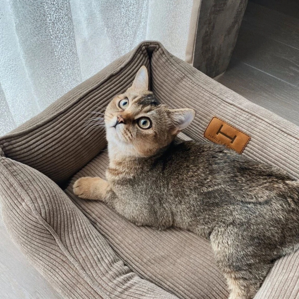 Harley & Cho Dreamer Velvet Cacao вельветовий лежак для собак та котів, бежевий - S