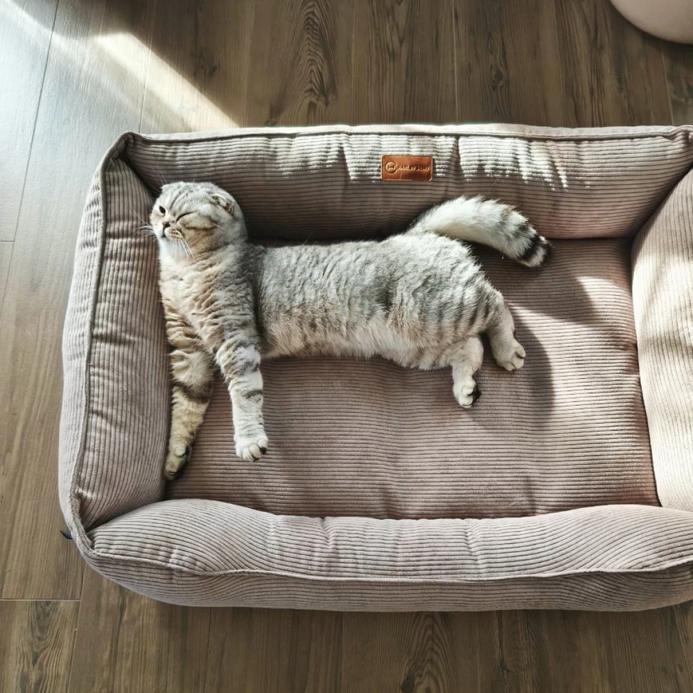 Harley & Cho Dreamer Velvet Cacao вельветовий лежак для собак та котів, бежевий - S