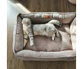 Harley & Cho Dreamer Velvet Cacao вельветовий лежак для собак та котів, бежевий - S