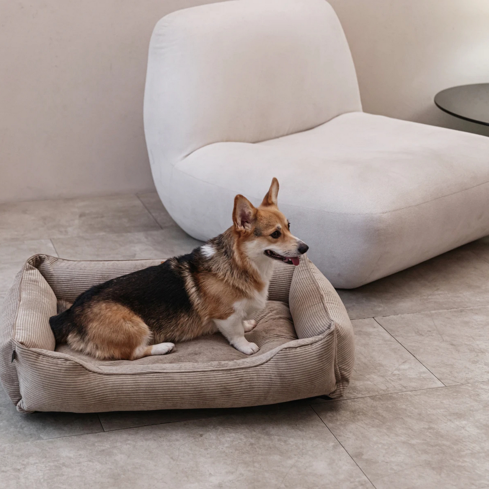 Harley & Cho Dreamer Velvet Cacao вельветовий лежак для собак та котів, бежевий - S