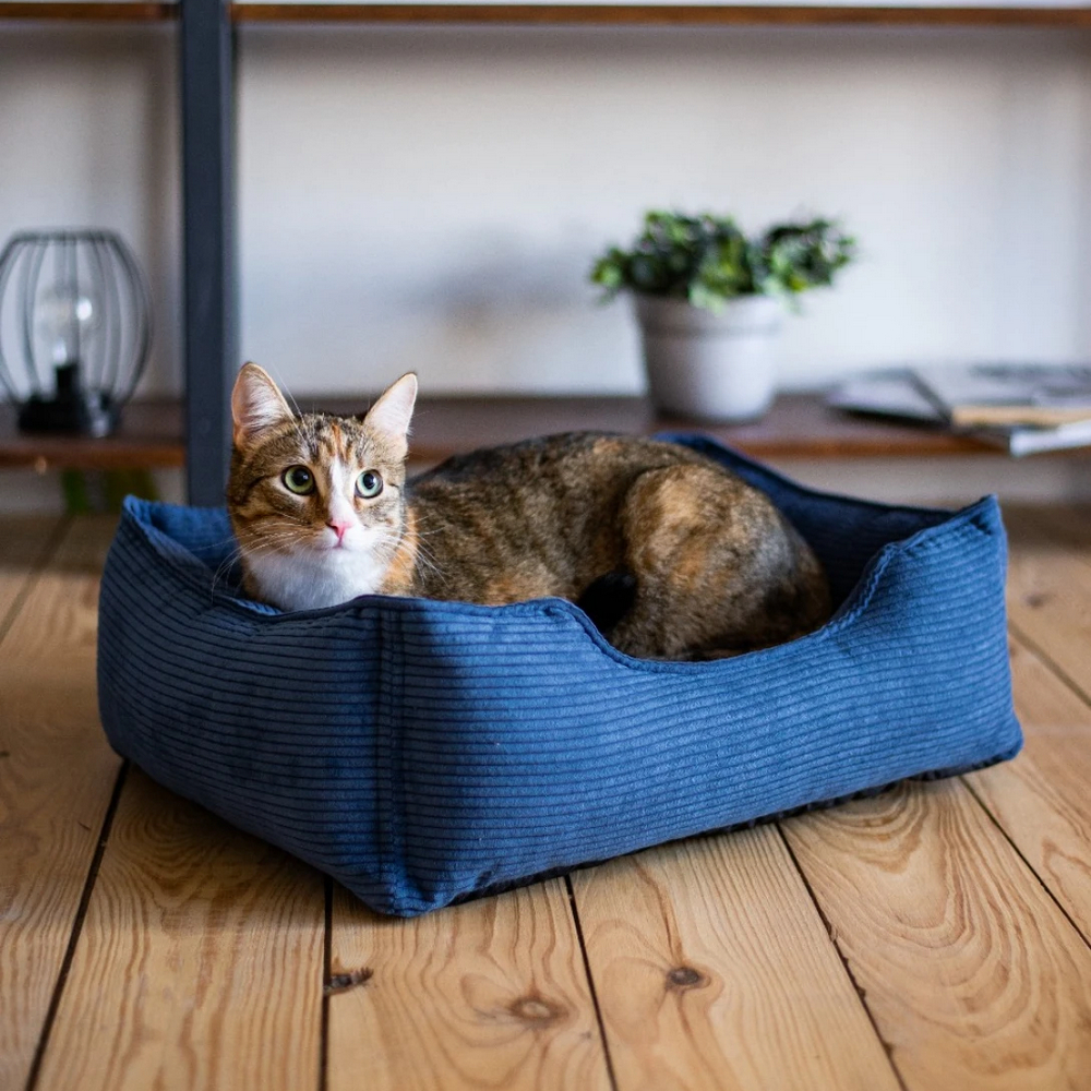 Harley & Cho Dreamer Velvet Denim вельветовий лежак для собак та котів, синій - S