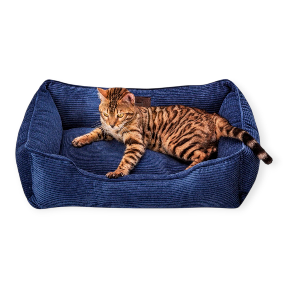Harley & Cho Dreamer Velvet Denim вельветовий лежак для собак та котів, синій - S