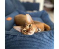 Harley & Cho Dreamer Velvet Denim вельветовий лежак для собак та котів, синій - S