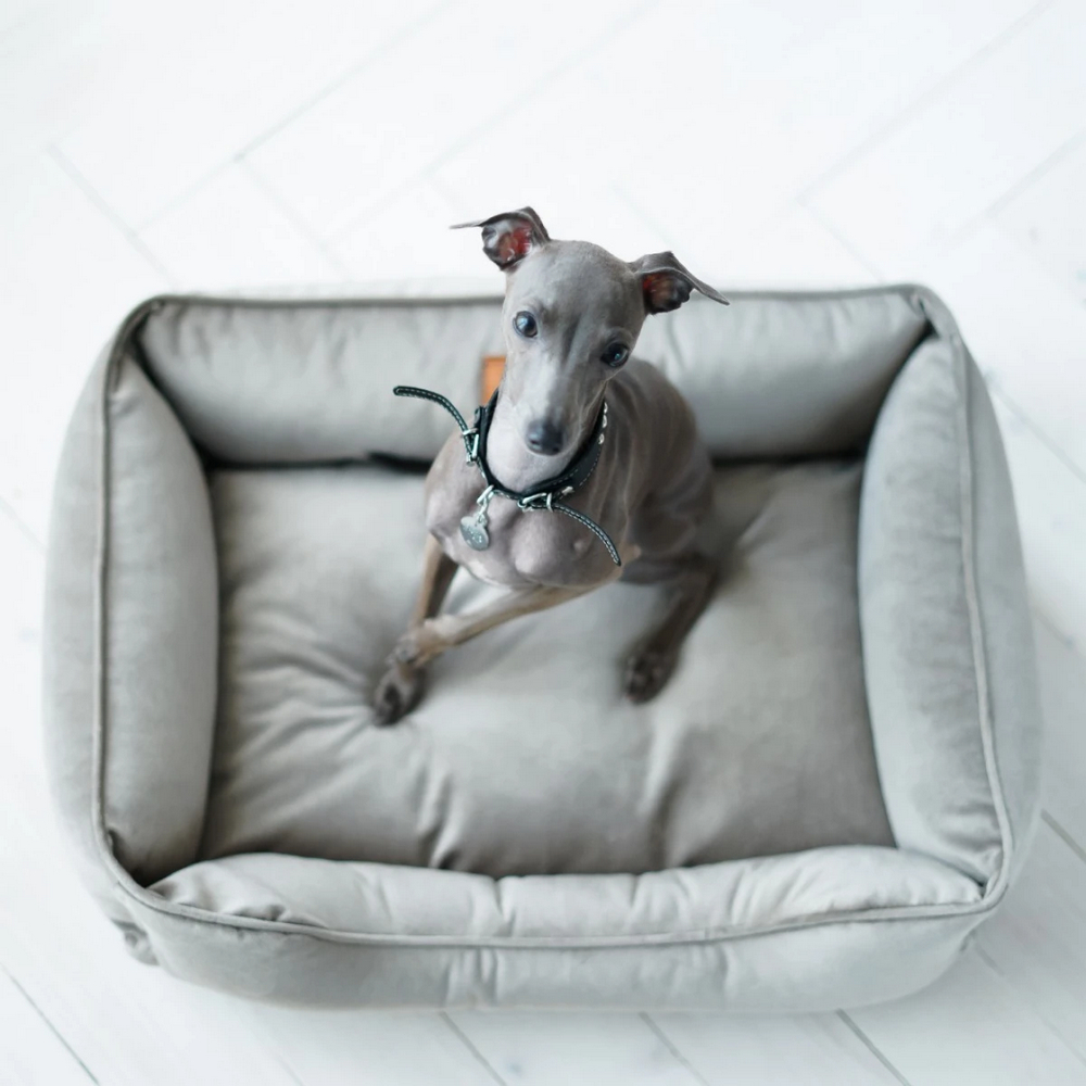 Harley & Cho Dreamer Velour Gray велюровий лежак для собак та котів, сірий - S