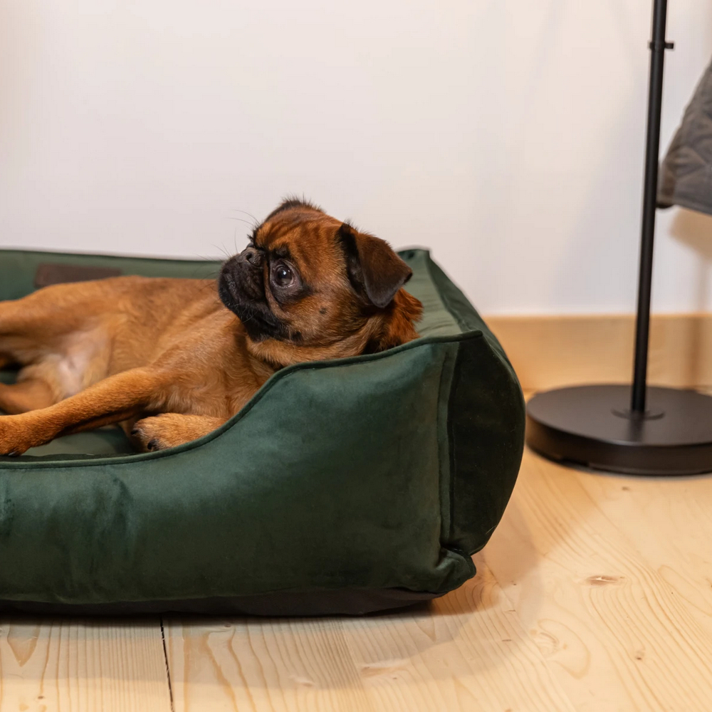 Harley & Cho Dreamer Velour Green велюровий лежак для собак та котів, зелений - S