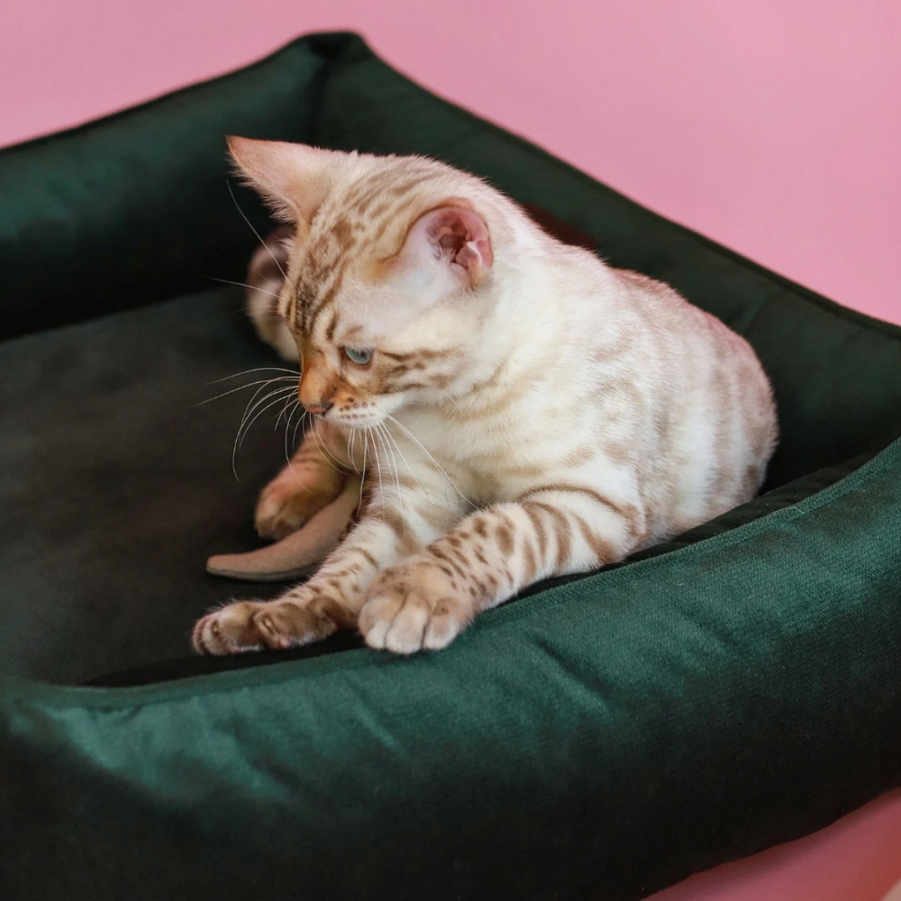 Harley & Cho Dreamer Velour Green велюровий лежак для собак та котів, зелений - S