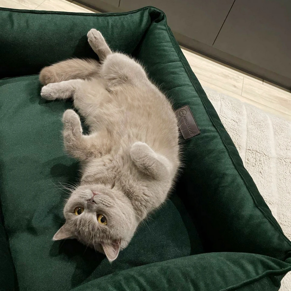 Harley & Cho Dreamer Velour Green велюровий лежак для собак та котів, зелений - S