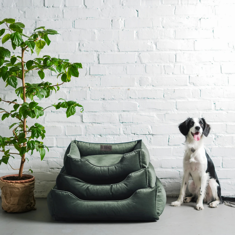 Harley & Cho Dreamer Velour Green велюровий лежак для собак, зелений - L
