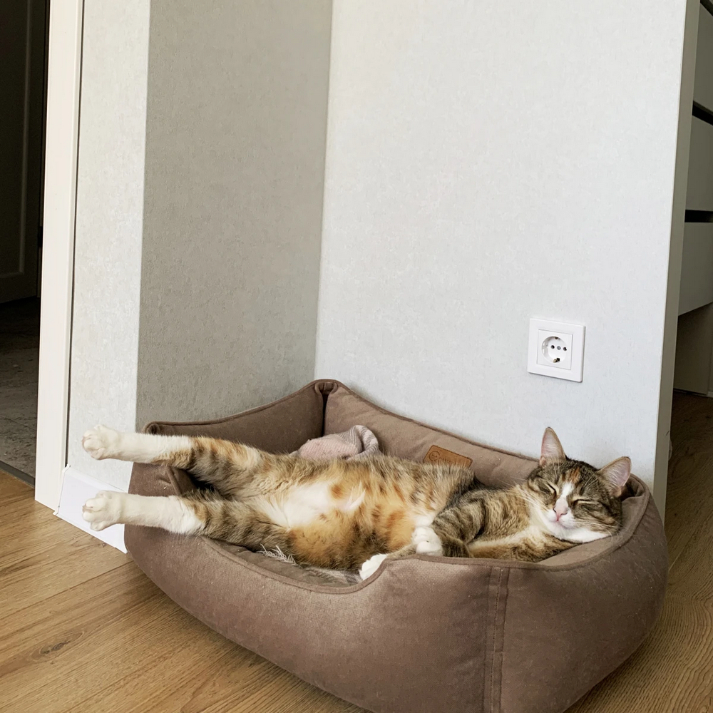 Harley & Cho Dreamer Velour Beige велюровий лежак для собак та котів, бежевий - S