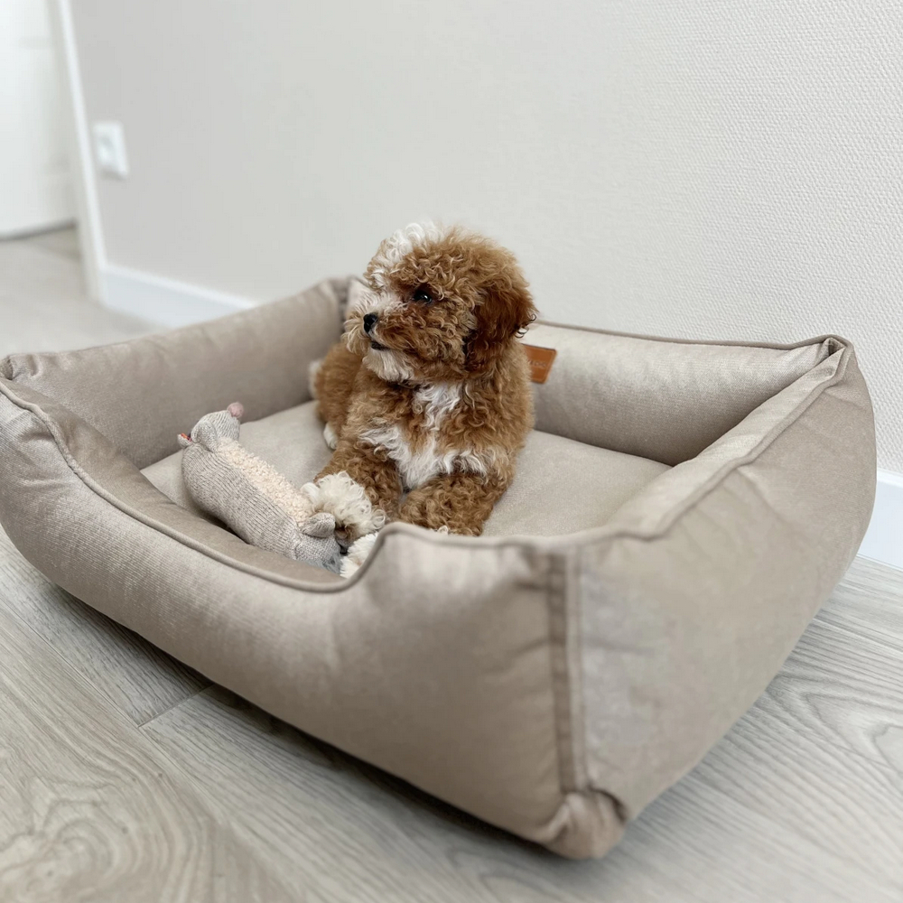 Harley & Cho Dreamer Velour Beige велюровий лежак для собак та котів, бежевий - S