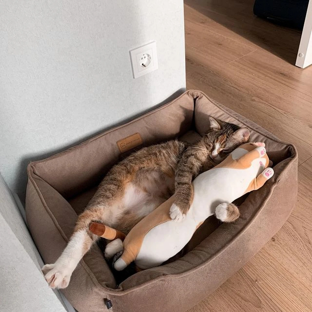Harley & Cho Dreamer Velour Beige велюровий лежак для собак та котів, бежевий - S