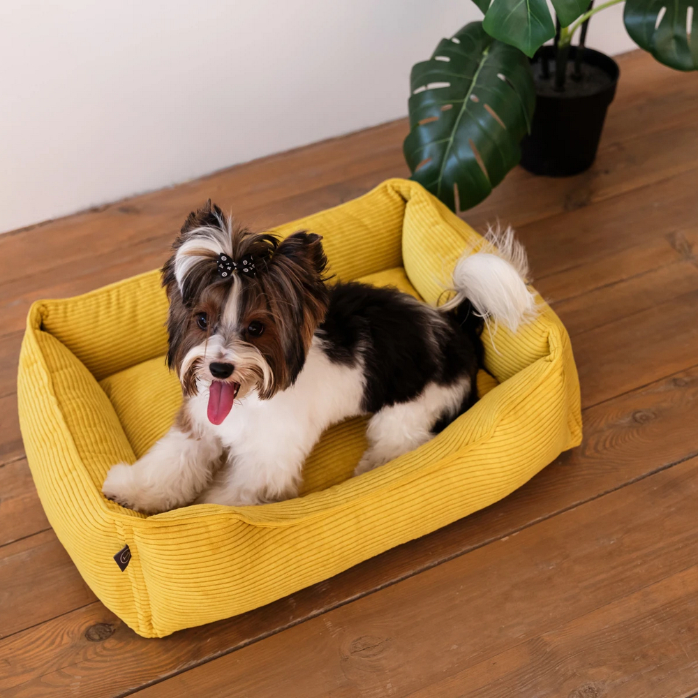 Harley & Cho Dreamer Velvet Yellow вельветовий лежак для собак та котів, жовтий - S