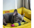 Harley & Cho Dreamer Velvet Yellow вельветовий лежак для собак та котів, жовтий - S
