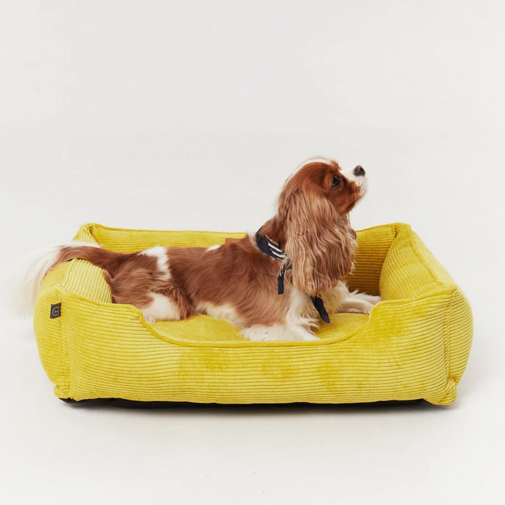 Harley & Cho Dreamer Velvet Yellow вельветовий лежак для собак та котів, жовтий - S