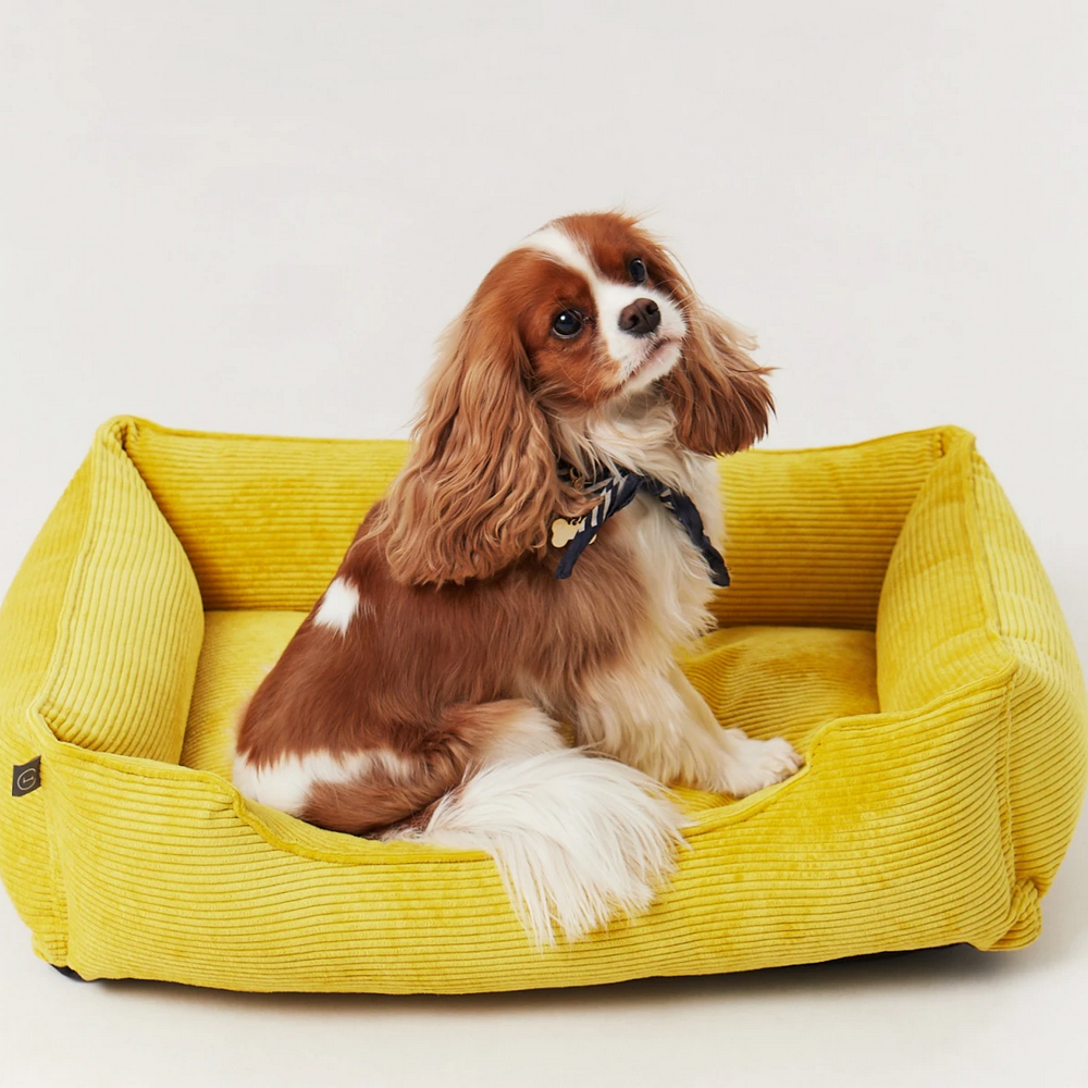 Harley & Cho Dreamer Velvet Yellow вельветовий лежак для собак та котів, жовтий - S