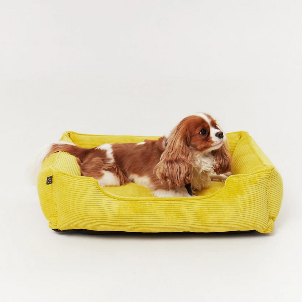 Harley & Cho Dreamer Velvet Yellow вельветовий лежак для собак та котів, жовтий - S