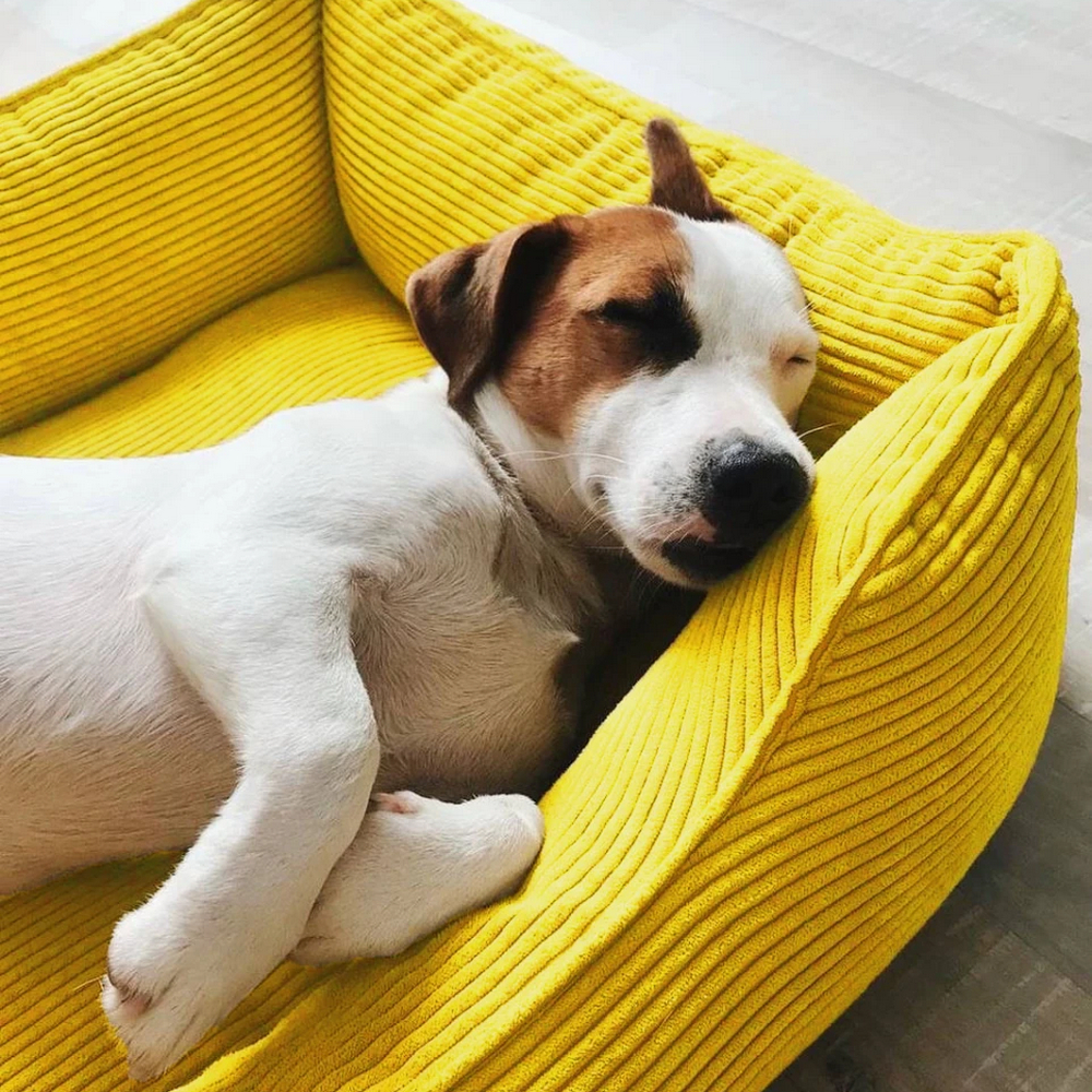 Harley & Cho Dreamer Velvet Yellow вельветовий лежак для собак та котів, жовтий - S